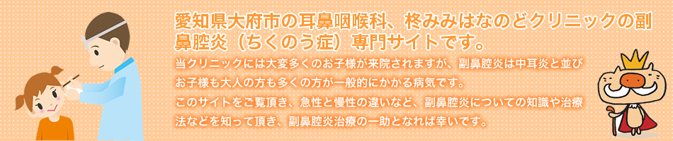 愛知県大府市の耳鼻咽喉科、柊みみはなのどクリニックの副鼻腔炎専門サイトです。